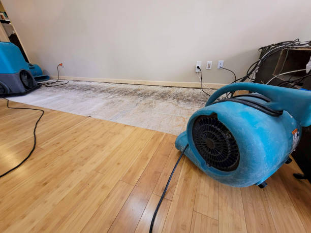 Professional Ceiling Water Damage Repair technician working in Dell Rapids, SD
